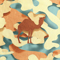Desert