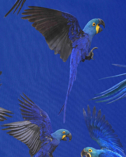 SNURK Blue Parrot Shorts Ladies