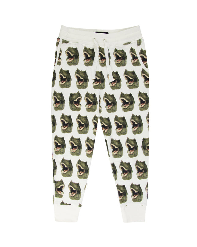SNURK Dino Broek Kinderen Foto 26183
