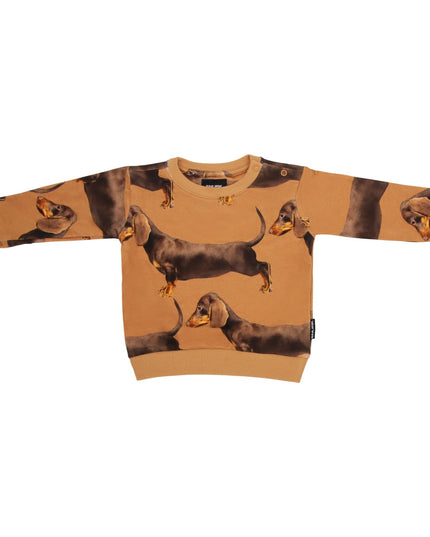 SNURK James Brown Sweater Baby Foto 21347