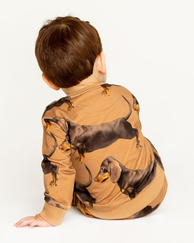 SNURK James Brown Sweater Baby Foto 21351