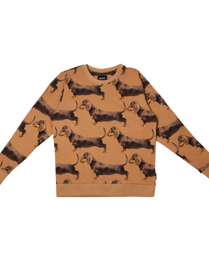 SNURK James Brown Sweater Dames Foto 21366