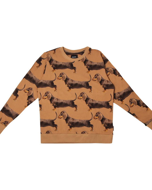 SNURK James Brown Sweater Dames Foto 21366