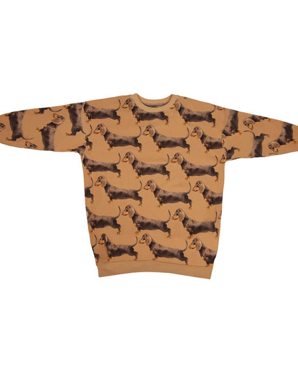 SNURK James Brown Sweater Dress Dames Foto 21360