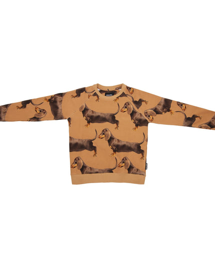 SNURK James Brown Sweater Kinderen Foto 21352