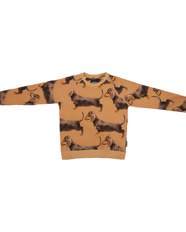 SNURK James Brown Sweater Kinderen Foto 21352