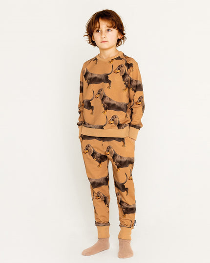 SNURK James Brown Sweater Kinderen Foto 21353