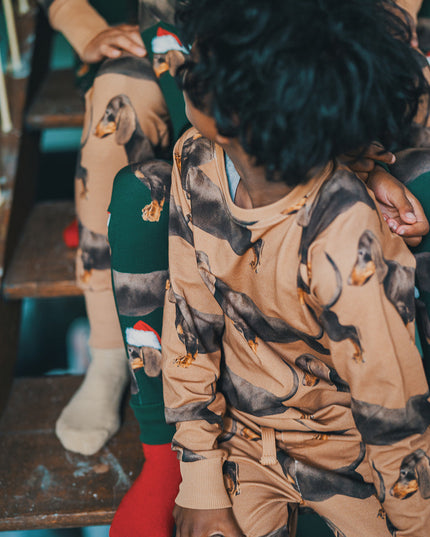 SNURK James Brown Sweater Kinderen Foto 21357