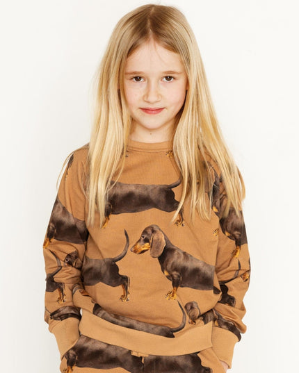 SNURK James Brown Sweater Kinderen Foto 21358