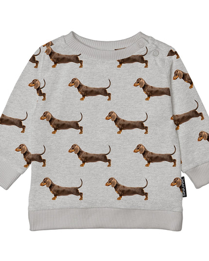 SNURK James Grey Sweater Babies Foto 12751