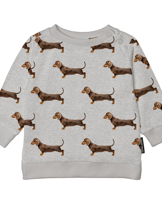 SNURK James Grey Sweater Babies Foto 12751