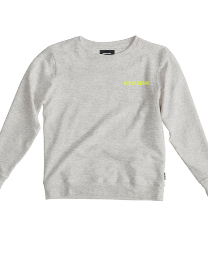 SNURK Uni Grey Sweater Dames Foto 22957